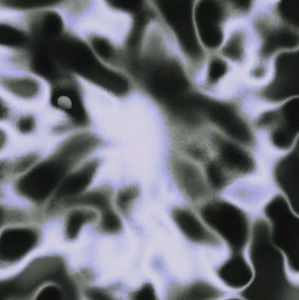 Meet your Posher, Natali